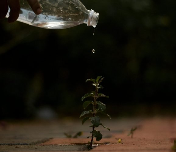 pexels-clicksbyrenjith-20752391